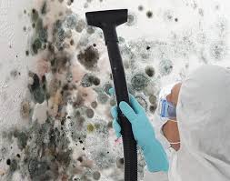 Trusted Opelika, AL Mold Prevention & Removal  Experts